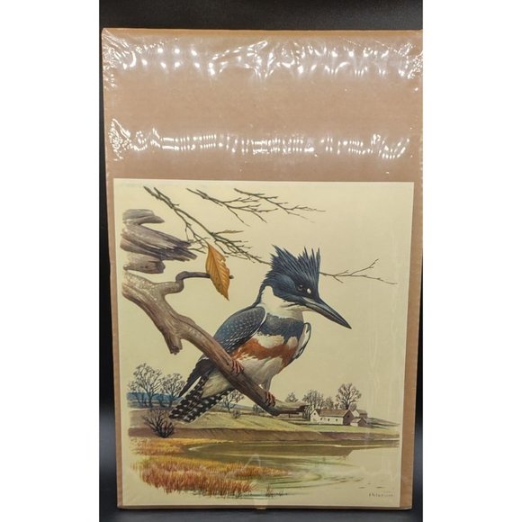 Peterson Print Kingfisher 11 Wide by 12.5 High Inches - Picture 8 of 8